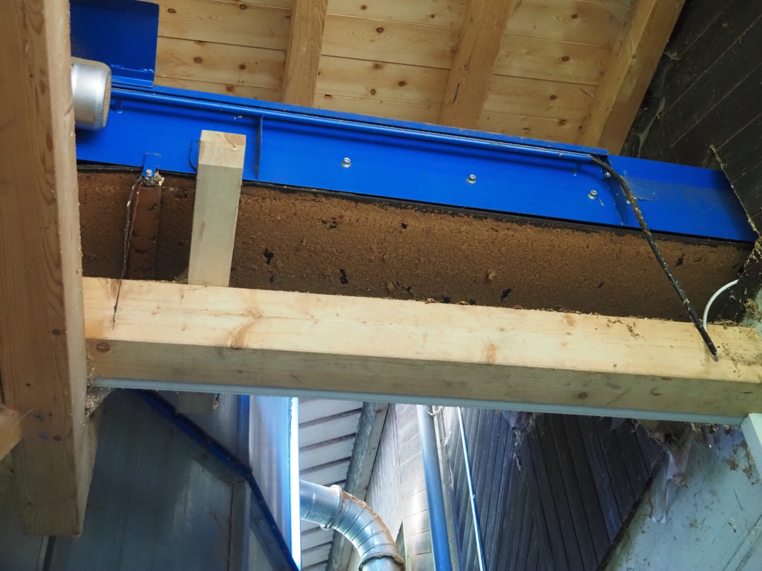 Scierie complète pour grumes max. Ø 100 cm (DY) – Image 26