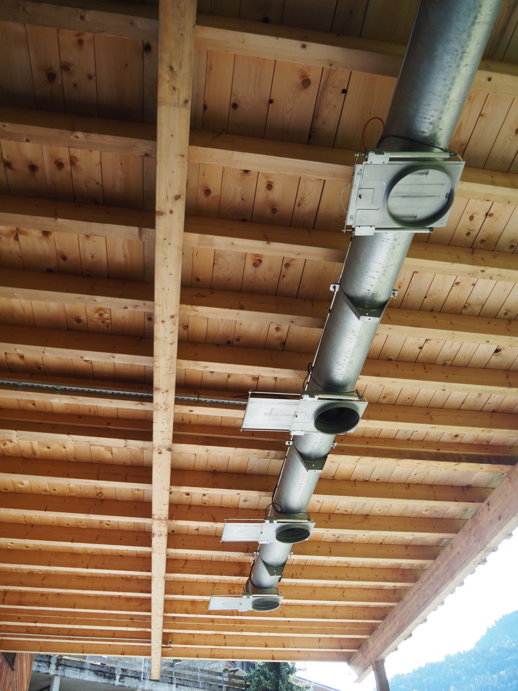 Scierie complète pour grumes max. Ø 100 cm (DY) – Image 29