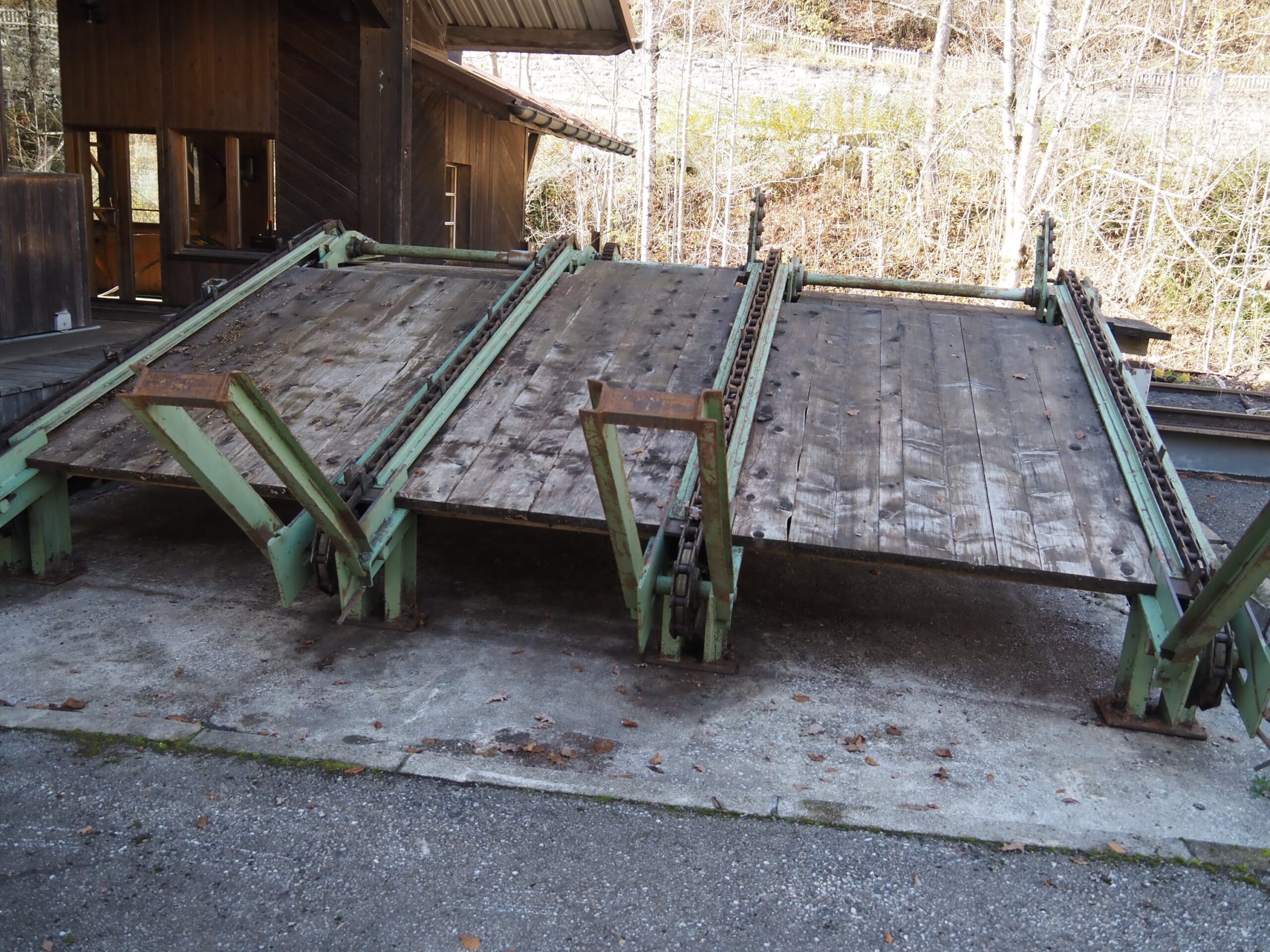 Scie à ruban complète de scierie pour grumes max. Ø 100 cm (DY) – Image 3