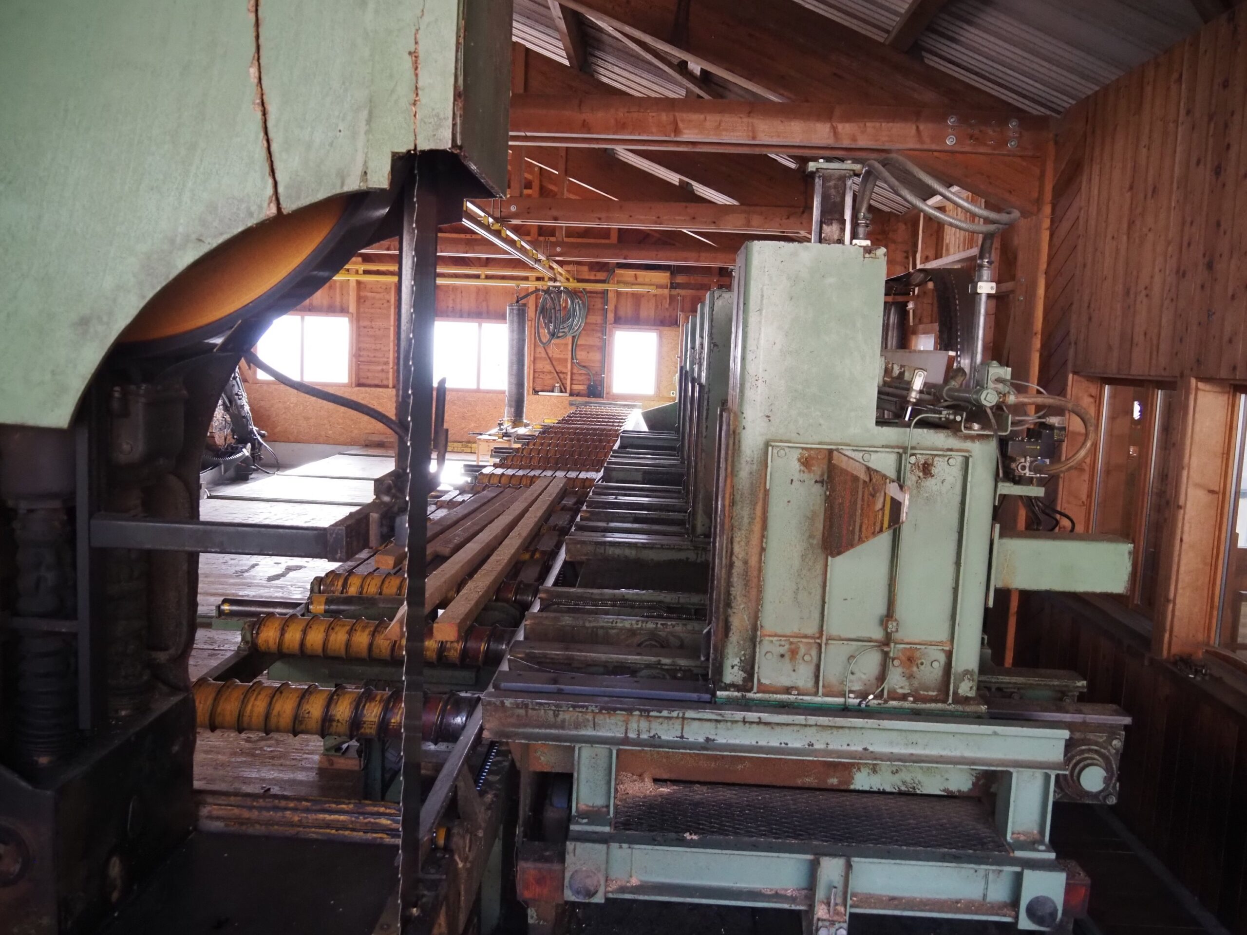 Scie à ruban complète de scierie pour grumes max. Ø 100 cm (DY) – Image 2