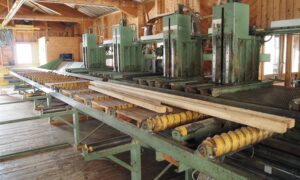 Scie à ruban complète de scierie pour grumes max. Ø 100 cm (DY)