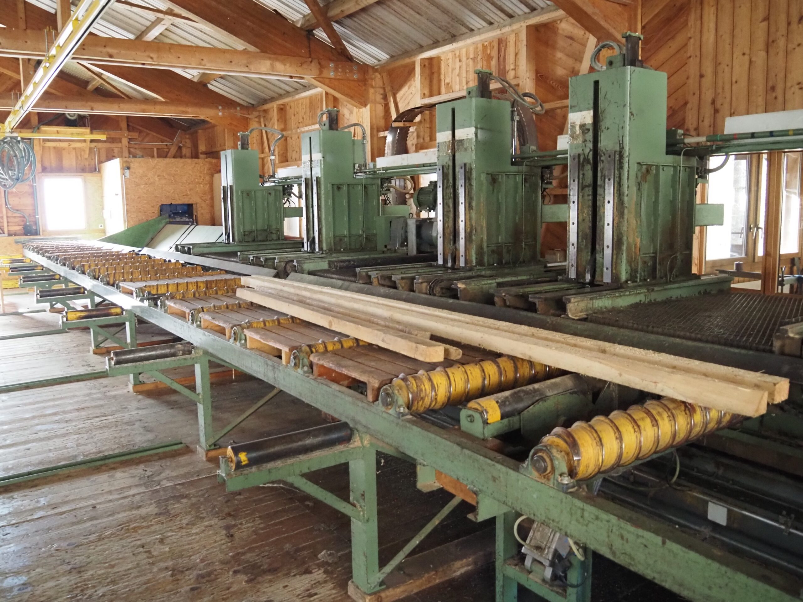 Scie à ruban complète de scierie pour grumes max. Ø 100 cm (DY)