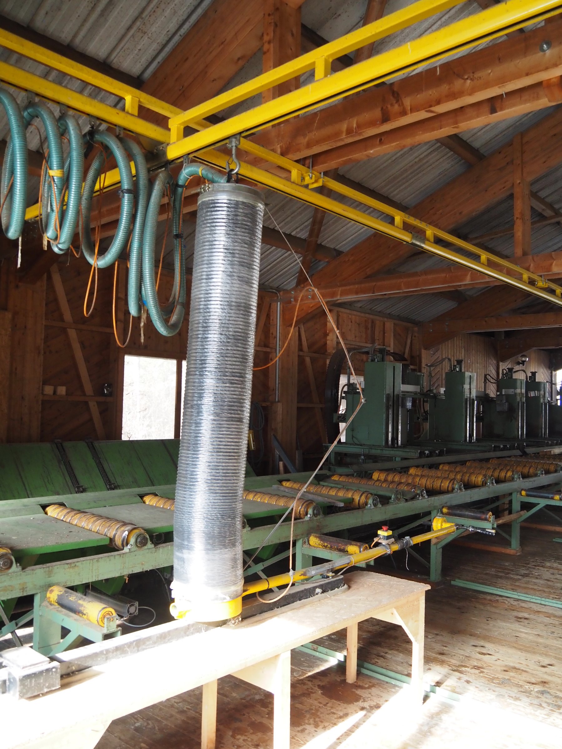 Scie à ruban complète de scierie pour grumes max. Ø 100 cm (DY) – Image 15