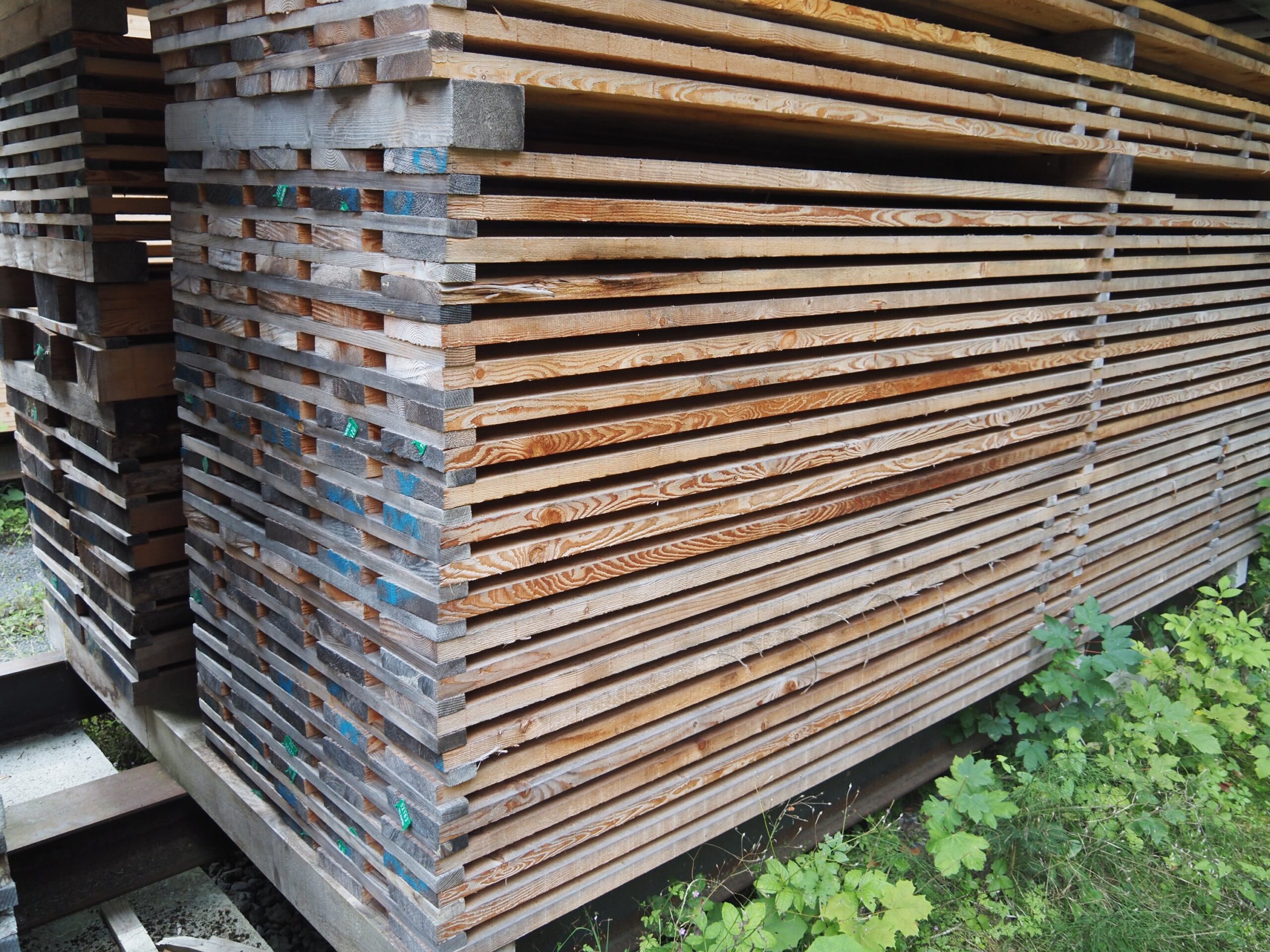 BOIS de qualité sec - Épicéa Mélèze Merisier Frêne (FR) – Image 7
